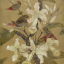 Gaston SUISSE (1896-1988) - Astrilds dans les fleurs de vanille
